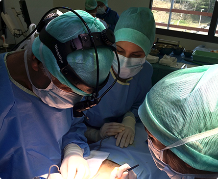 Dr Anissa Belkhou, nouveau chirurgien référent à Lille