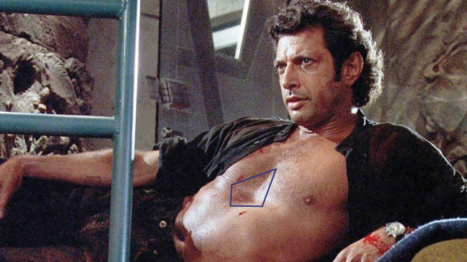 Jeff Goldblum Pectus