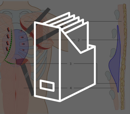 AnatomikModeling Resources files